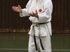 2011-02-26-ochi-niederkruechten-378