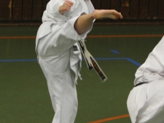 2011-02-26-ochi-niederkruechten-602