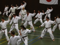 2011-02-26-ochi-niederkruechten-612