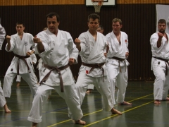 2011-02-26-ochi-niederkruechten-670