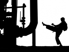 28-06-08-karate-beeck-schatten-georg16