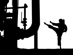 28-06-08-karate-beeck-schatten-melli-10