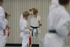 Sensei Ochi in Krefeld 2016
