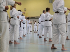 2016_10_22-ochi-kr-136