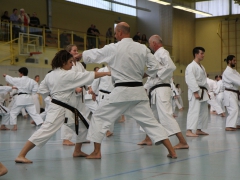 2016_10_22-ochi-kr-217