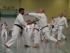 2016_10_22-ochi-kr-231