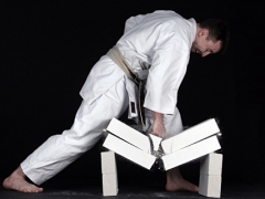 24-03-2008-bruchtest-georg-024-n1