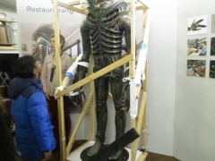 2017-11-18-Toribio-bonn-0131