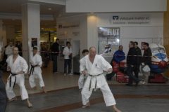 Vorführung Hansazentrum