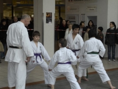 hansazentrum-1-3-08-064