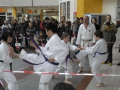 hansazentrum-1-3-08-077