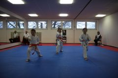 Weihnachtsfeier und Dojo Cup 2013