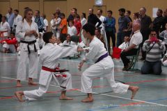 Westdeutsche Meisterschaft 2015