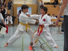 2012-06-02-westfalencup-023